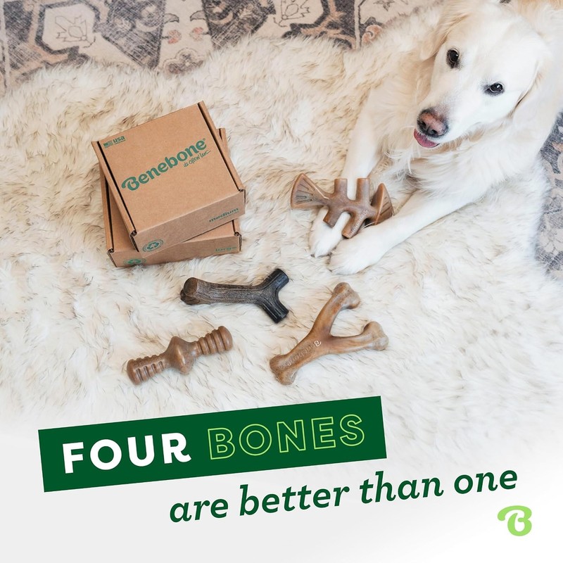Benebone Medium 4-Pack Dog Toys for Aggressive Chewers – Durable