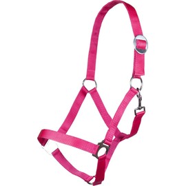 HKM Headcollar Stars Economy Softice Pink Pony