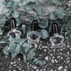 Agidea 6 botellas vacías de esmalte de uñas de 5