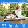 Corpower Cat Net for Balcony, Cat Protection Net 10 x