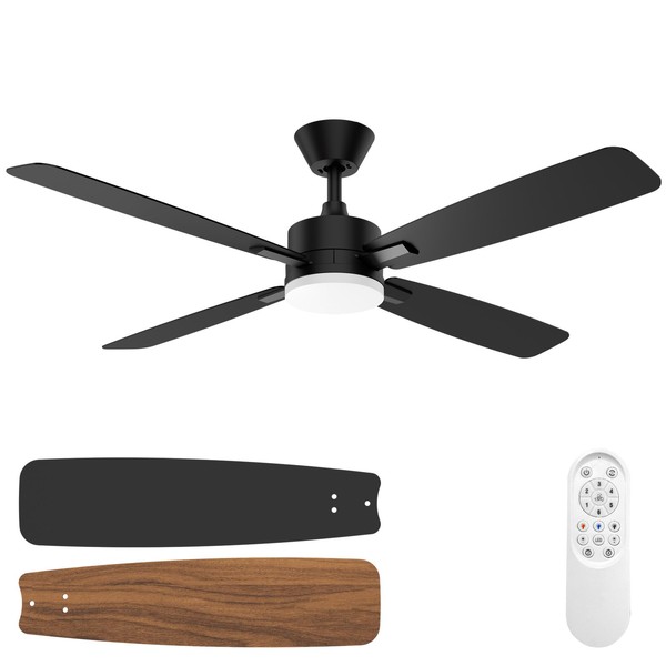 Glasshell Ceiling Fan 52 Inch, Remote Control Reversible DC Motors,