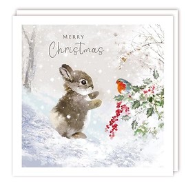 Tracks Publishing Charity Christmas Cards - Little Rabbit and Robin in the Snow - Eco-Friendly - Pack of 5 Cards