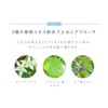 Elektore Mineral Ole Amino Scalp Shampoo Poos de Chewoux (Shampoo+Sample)