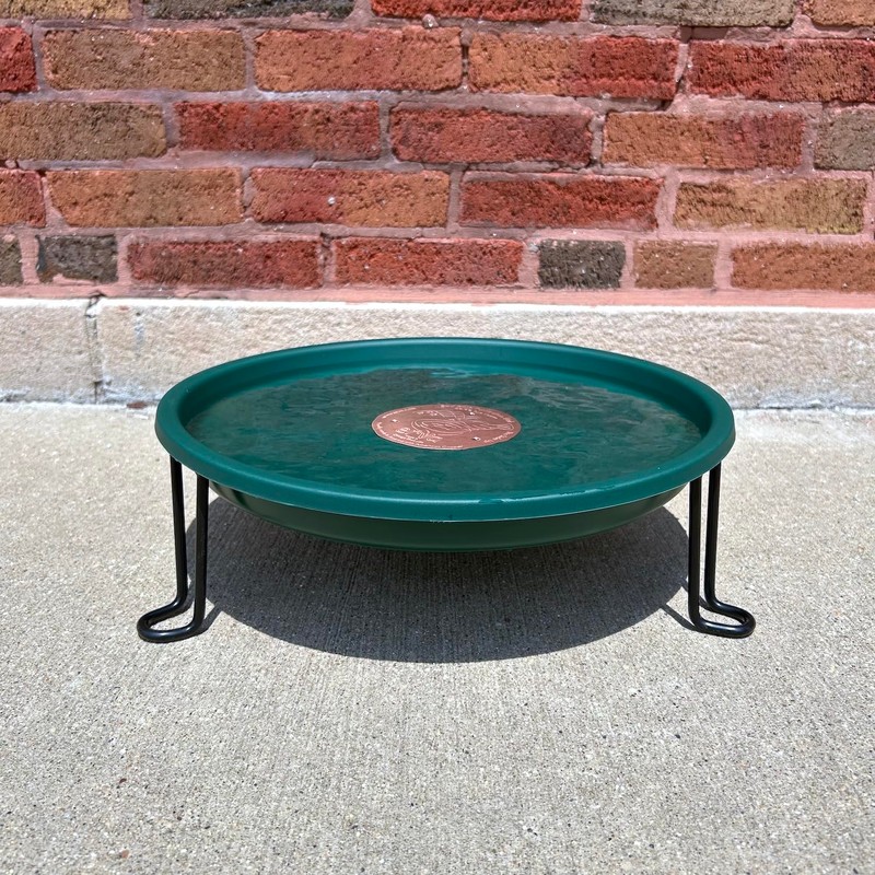 Ground Level Bird Bath - Floor Standing Bird Bath for