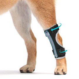 Supet Dog Leg Brace for Back Leg - Hock & Ankle Joint Support for Rear Legs with 2 Metal Springs, Anti-Slip Design & Reflective Trim for Sprain, Arthritis, Injury & Wound Recovery