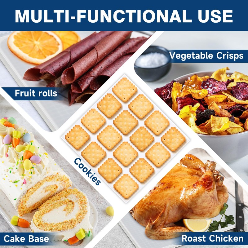 6 Pcs Silicone Dehydrator Trays 11 x 11 Inch, Square