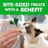Greenies Feline Smartbites, Cat Treats Healthy Recipe, Indoor Cat Treats,
