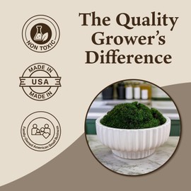 Preserved Mood Moss - Premium Decorative Moss for Crafts, Home Décor, Art, Design & DIY Projects - Real Moss- Non-Toxic - USA-Made- Natural Green, Small 2-Pack