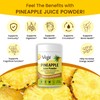 Vegs Pineapple Juice Powder - Freeze Dried Organic Pineapple Powder