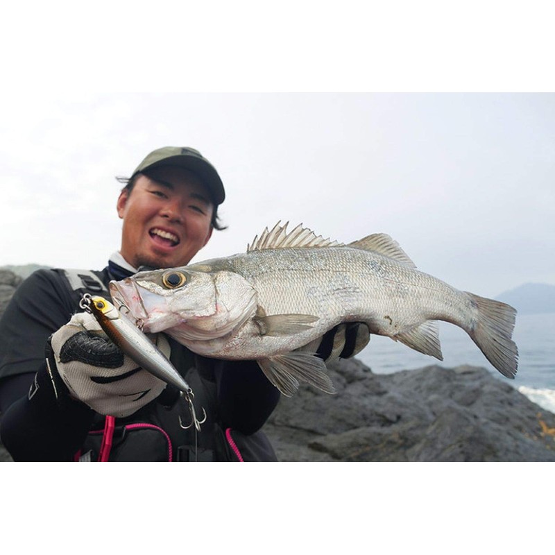 JACKALL Big Backer Fall Trick Super Sagoshi Silver 4.0 inches