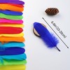 Ballinger Large Colored Goose Feathers Bulk for Crafts,120 PCS,6-8 Inch