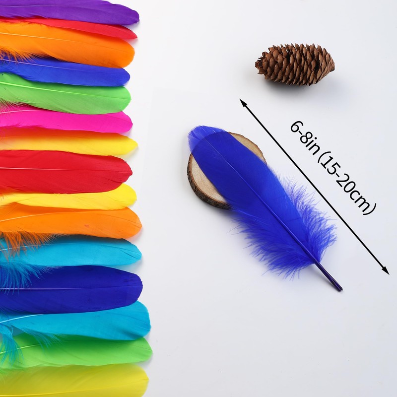 Ballinger Large Colored Goose Feathers Bulk for Crafts,120 PCS,6-8 Inch