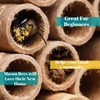 Jindduo Mason Bee Tubes 120 Pieces of 6 inch Long