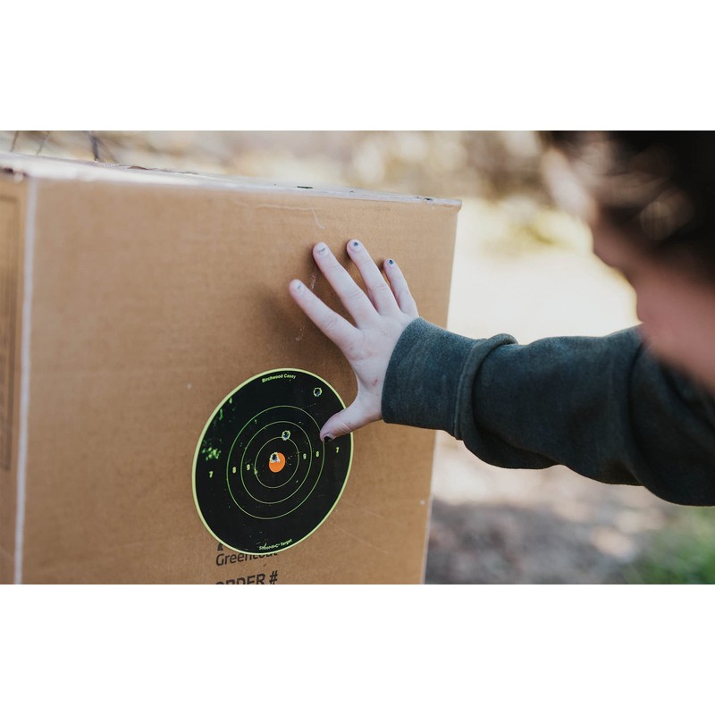 Birchwood Casey Shoot-N-C Bull's Eye Target (8-Inch) Pack of 6