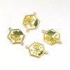 6PCS Gold Tone Queen Anne's Lace Flower Resin Hexagon Charm
