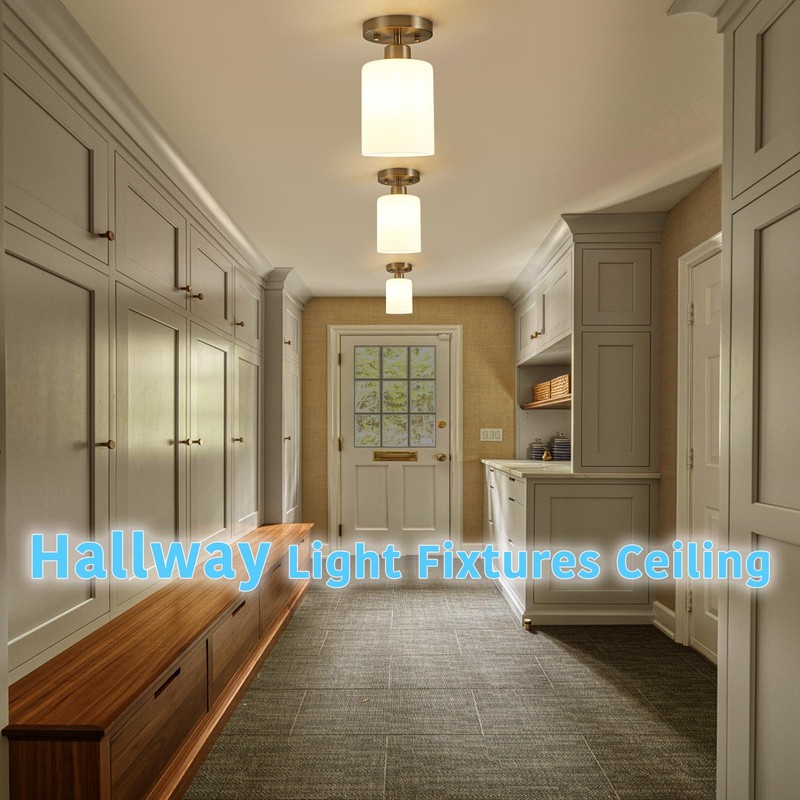 Brushed Nickel Hallway Light Fixtures Ceiling 1-Light Semi Flush Mount