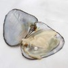 Kwolf Colorful Freshwater Oysters with 15 Pearls 78mm Bead Small