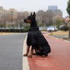 Dog Coat Dog Warm Jacket, 4 Legs Covered Waterproof Windproof