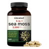 Musgo Marino Irlandés 3000mg Salud Digestiva + Tiroides 240 Sabor