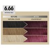 Alfaparf Milano Il Salone Plex Rebuilder Color Kit 6.66 Intensives