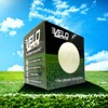 Velo Wallball - Training Ball - Pro Baseball Size &
