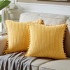 Fancy Homi Pack of 2 Boho Yellow Decorative Throw Pillow