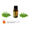 Doterra Aceite Esencial Mejorana Doterra 15 Ml Original Sellado