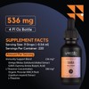 Lyfetrition Lyfetrition GABA with L-Theanine, Ginkgo Biloba (Salisburia biloba) Extract,
