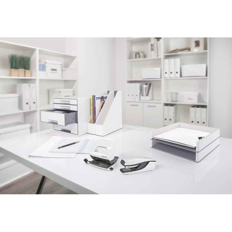 Leitz A4 ColorClip File, 30 Sheet Capacity, Flexible Plastic, White,