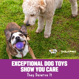 Gnawsome™ 3.5” Spiky Squeak & Light Ball Dog Toy - Medium, Cleans Teeth and Promotes Good Dental and Gum Health for Your Pet, Colors will vary, 3.5"