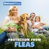 Flea Repellent Spray for Humans, DEET-Free Insect Repellent for Skin