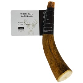 WhiteTail Naturals - Premium Deer Antlers for Small Dogs - Naturally Shed Dog Antler, Long Lasting Chew Bone for Puppies and Smaller Breeds
