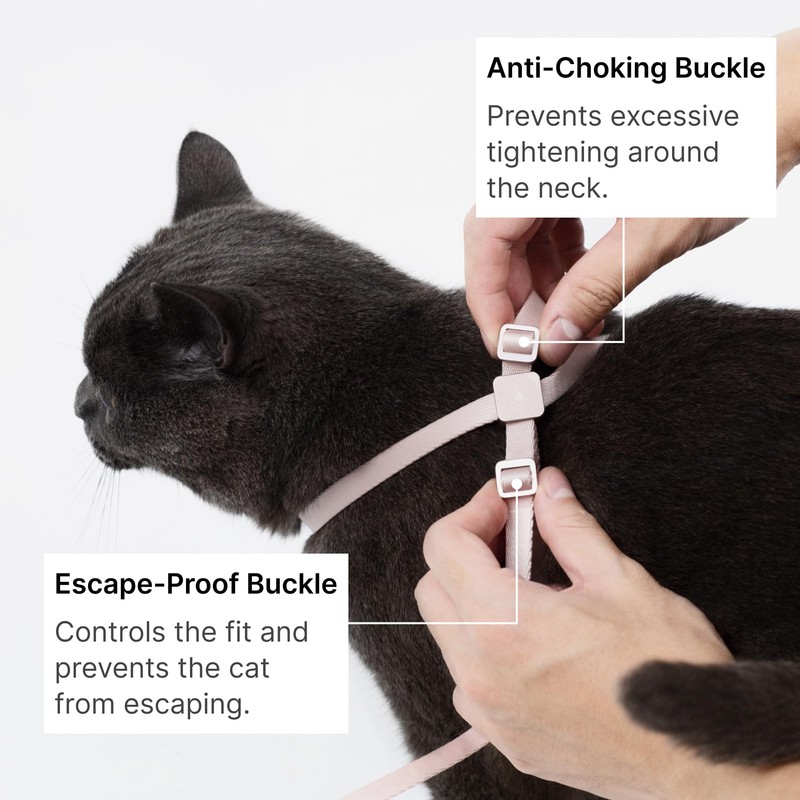 BuddyArmor Cat Harness and Leash Set, Lightweight Escape Proof Cat