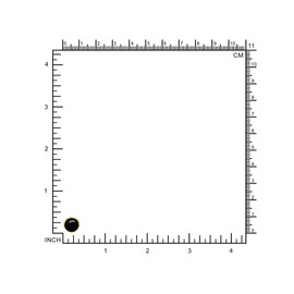 Silvershake 9MM Natural Round Shape Black Onyx 14K Yellow Gold Plated 925 Sterling Silver Business Attire Stud Post Gemstone Earrings Jewelry for Women or Teens, Sterling Silver 14K Gold Plated,