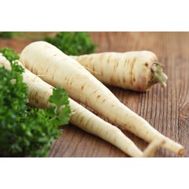 Seeds4planting - Seeds Parsley Hercules Root&Leave Universal Heirloom Herbs Non GMO for Planting 2000 Seeds