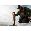 Northland Tackle BRCS3-220 Buck-Shot Coffin Spoon 1/8 OZ Uv Glo
