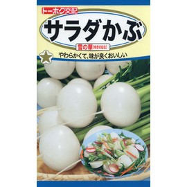 to-hoku Salad Turnip Snow Flower