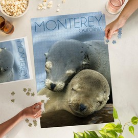Monterey, California, Sea Lions Cuddle (1000 Piece Puzzle, Challenging Jigsaw Puzzle for Adults, Made in USA)
