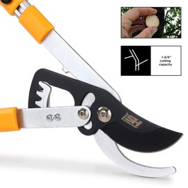 STEELHEAD Heavy-Duty 27-40" Adjustable Gear-Bypass Limb & Branch Lopper, Telescoping Extendable Handles, Ratcheting, Cuts Up to 1-3/4”, Secateurs, Shock-Absorbing, Effort-Saving, USA-Based Support