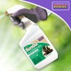 Bonide 7490 037321074908 Burn Out Weed and Grass Killer, 32