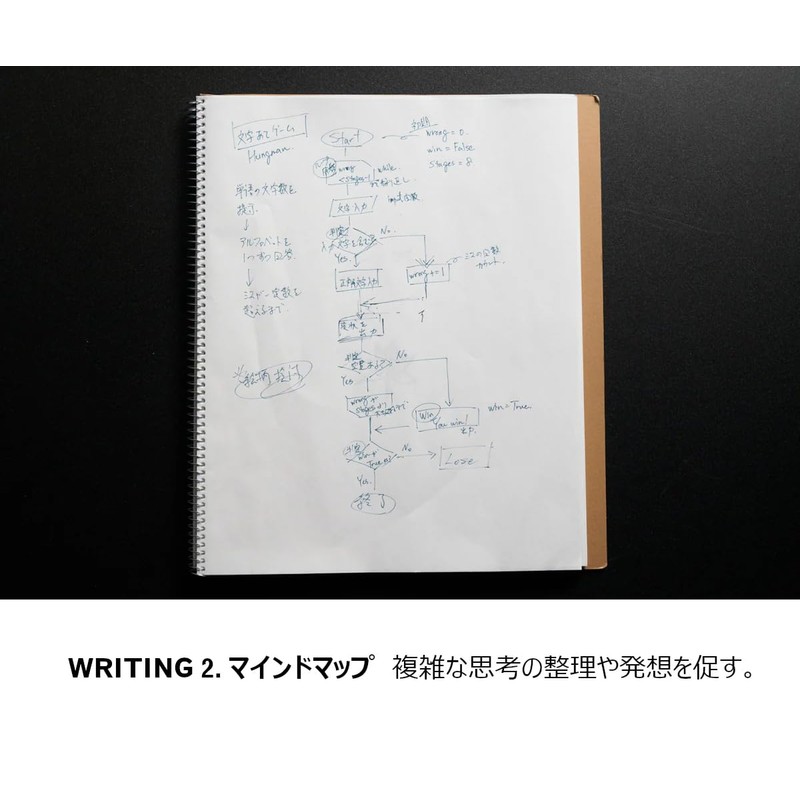 Kokuyo WP Series Pen (Fine Writer WP-F100, Black)