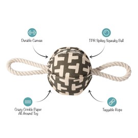 Fringe Studio "Pulling You in Odette Olive 3D Canvas Dog Toy with Tuggable Rope, PetShop Collection (523040)