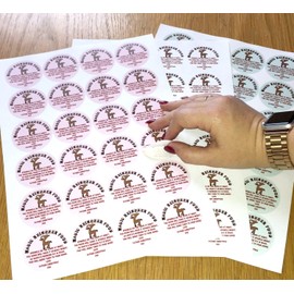 24, 48 or 72 Magic Reindeer Christmas Food Stickers Labels - Mixed Colours (48)