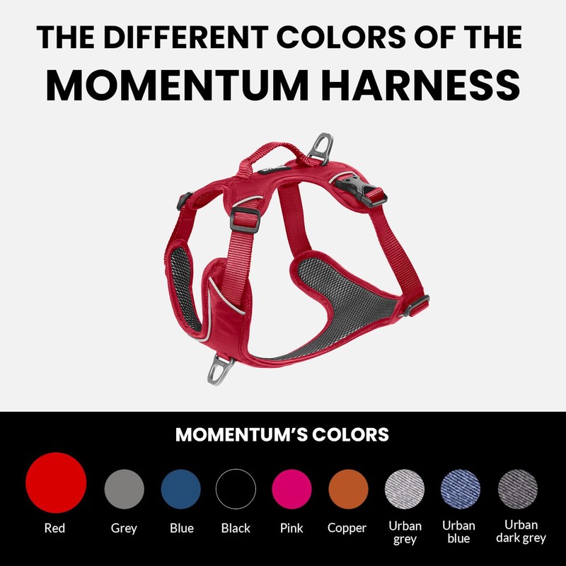 KYFLIE - No-Pull Reflective Dog Harness for Training & Daily