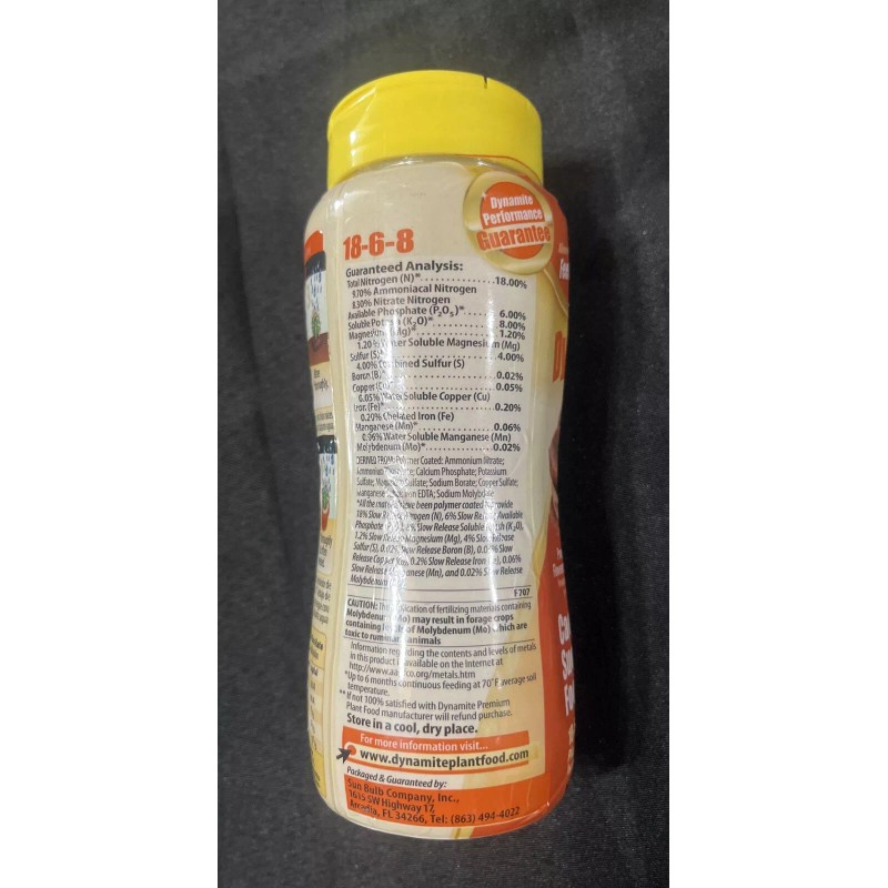 Dynamite Sun Bulb Cactus and Succulent Food ~ New