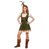 Carnival Women's Costume Miss Robin Dress Forest Female Warrior, 40