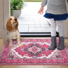 Noahas Noahas Front Door Mat Indoor Outdoor Entrance,2x3 Small Hot Pink Area Rugs Vintage Machine Washable Rugs Non-Slip Low Pile Carpets for Entryway Porch Bathroom Kitchen Bedroom Laundry Room Home Decor