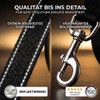 HUND IST KÖNIG Retractable Dog Lead 8 m for Small