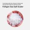 Dr.FORHAIR Folligen Sea Salt Scaler Biotin Scalp Scrub (10.5oz) Hair