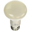 Westinghouse Lighting 53161000 50-Watt Equivalent R20 Flood Dimmable Bright White